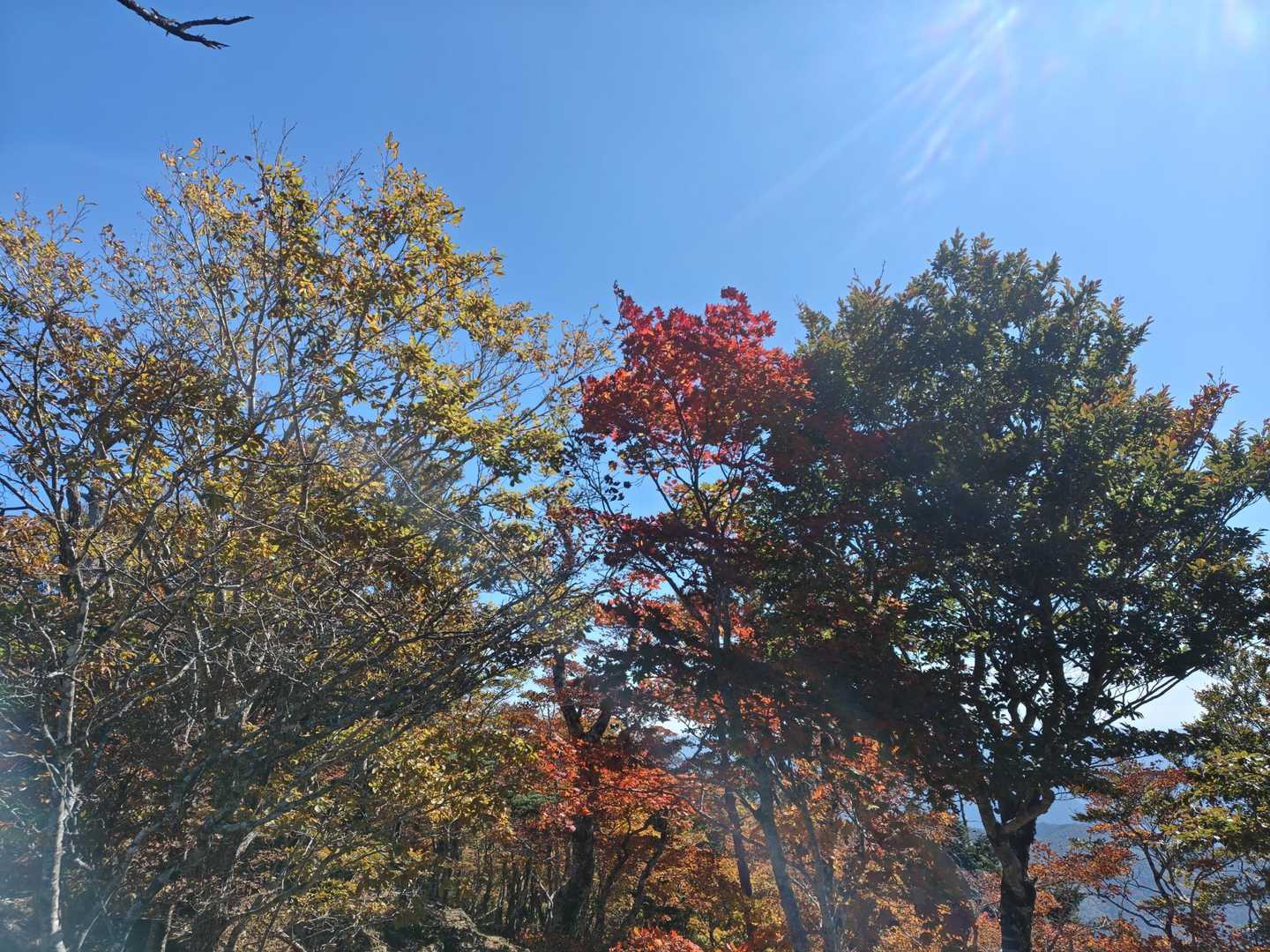 うわぁ〜✨️