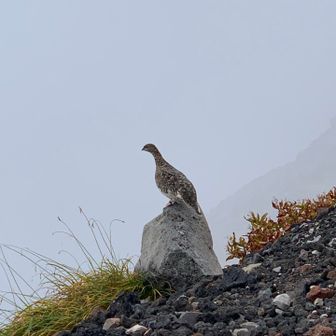 とある学校の専門学生