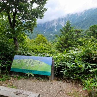 寂静山到着🙌