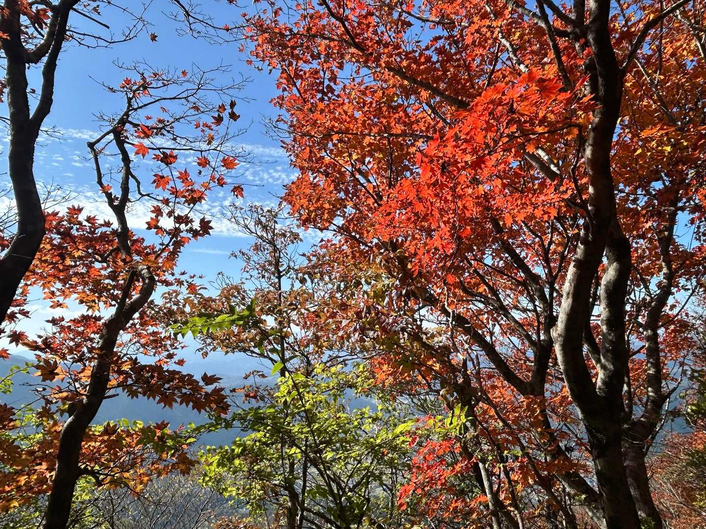 みんな
全力発色やし( ´艸｀)