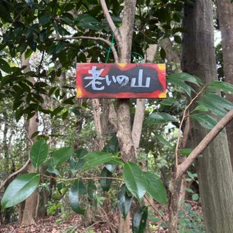 3️⃣老いの山⛰️   眺望はゼロ💦