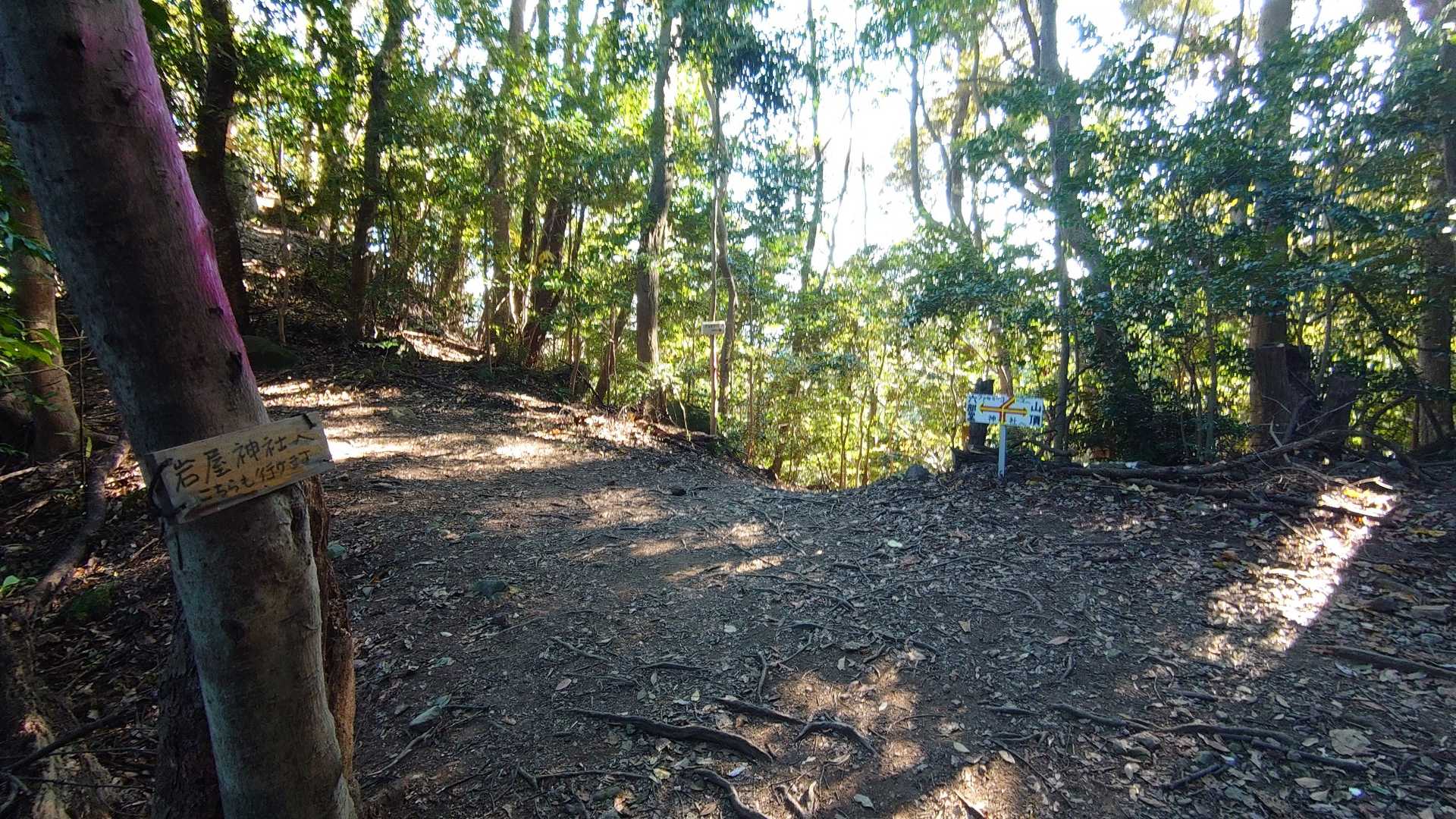 十字路に着き、山頂(中尾根コース)側へ行く。