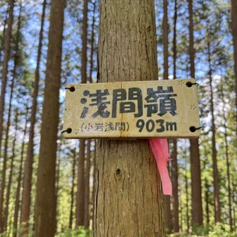　浅間嶺（せんげんれい、903m）、別名は小岩浅間。
　関東百名山（48/100)、多摩百山（67/100）、東京百名山（63/100）など。

　交易路の峠を控え、富士山遥拝の地として栄えた。