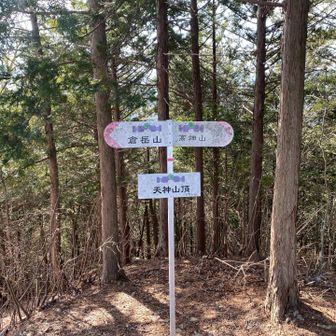 程なく天神山の山頂に到着