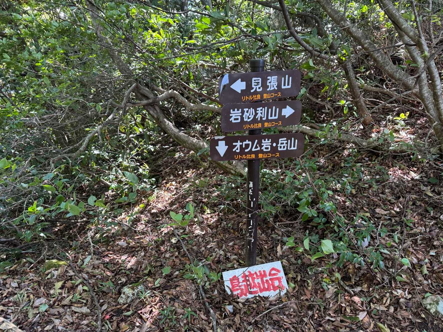 こうやって写真を撮ってるところは道がはっきりしてますが、たとえばうここから見張山と指されてる方向は、ちょっと見、道は見えないのです。枝や木々に覆われた向こうに道らしいものを見つけながら進みます。
