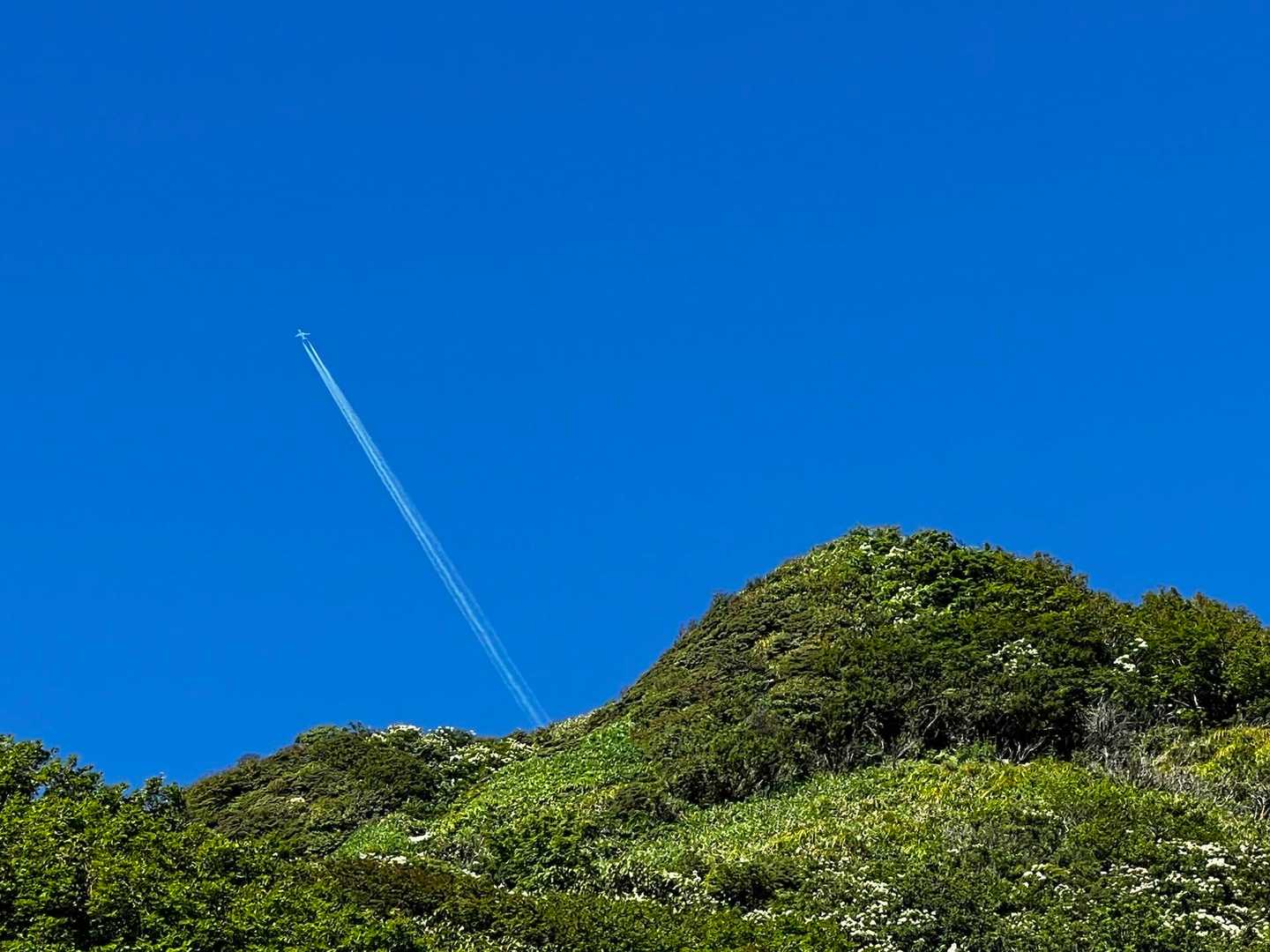 天気が良いと なんでも映えます🛫