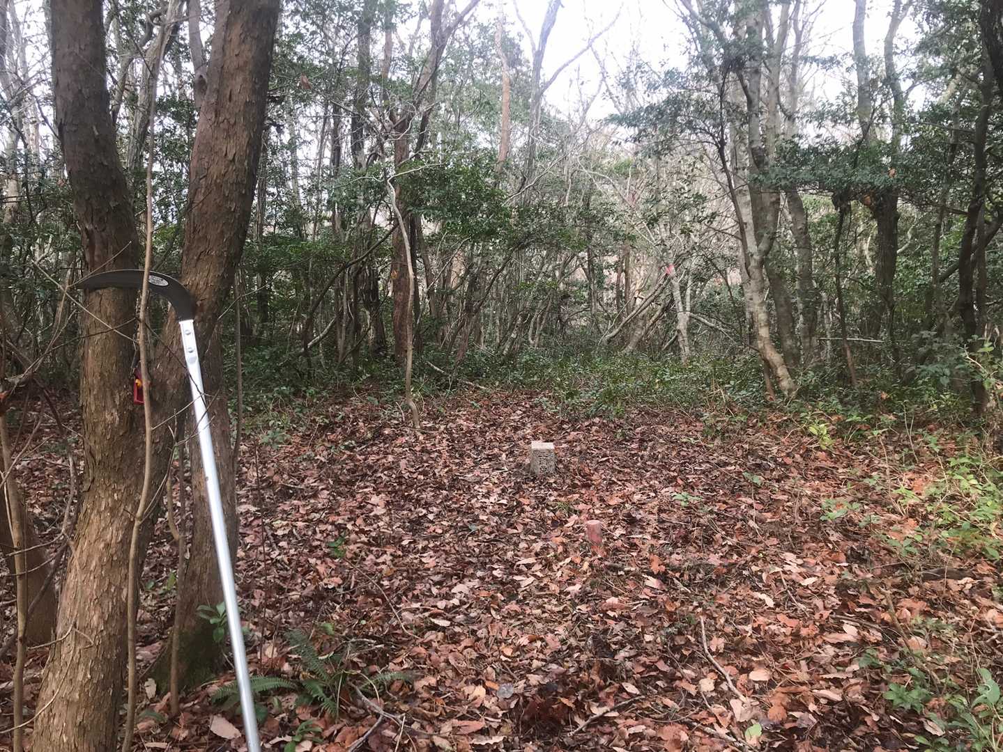 途中、一部テープの付け替えと枝切りしながら御岳山山頂到着。取り付きから山頂まで3時間6分→2時間6分→1時間33分と手が掛からなくなるにつれて短い時間で到着できるようになりました