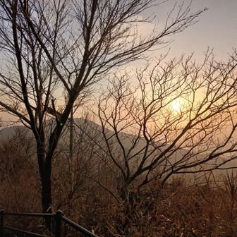 前の木が、有りすぎかな？