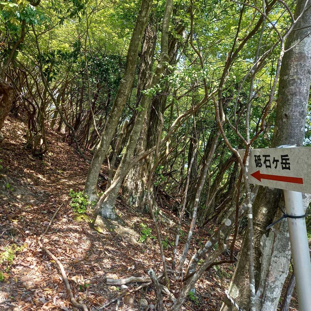 所々看板とテープがあるので迷うことはない