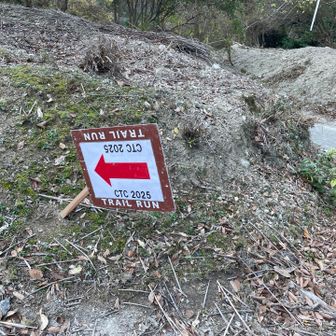 ちんたらだったら走ってみたいな