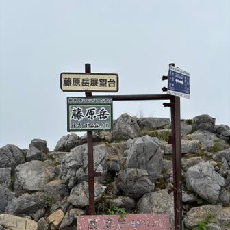 藤原岳登頂
