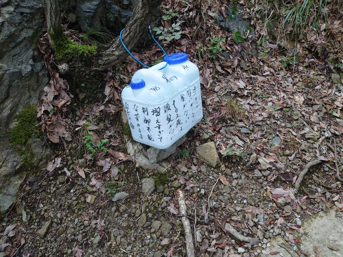 成井登山口-小高御位山-高御位山 周回コースの写真