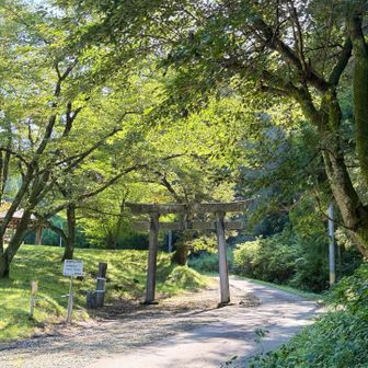 鳥居、山の神への参道です