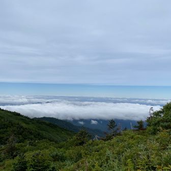 日本海が見える
