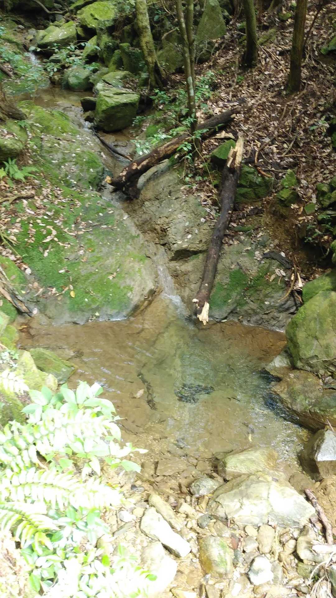 小さな滝壺🍯　無事下山🐇