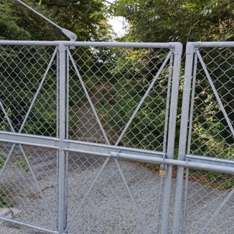この先に白水山に続く道があるらしーにゃ。