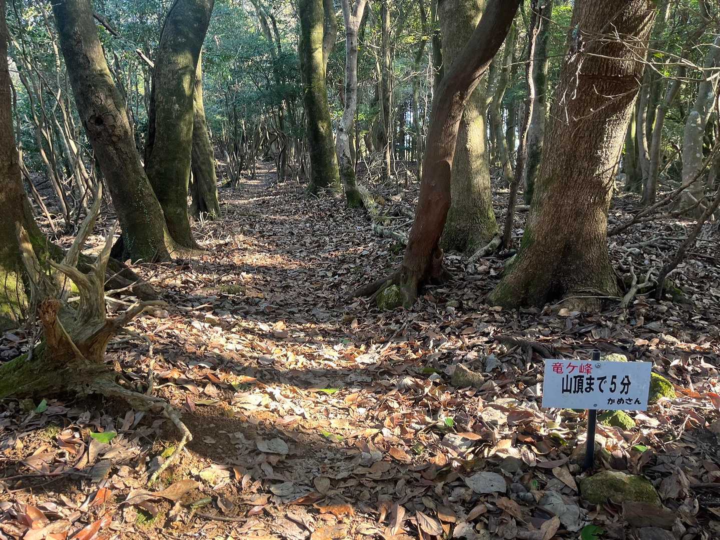 あと少し🤏