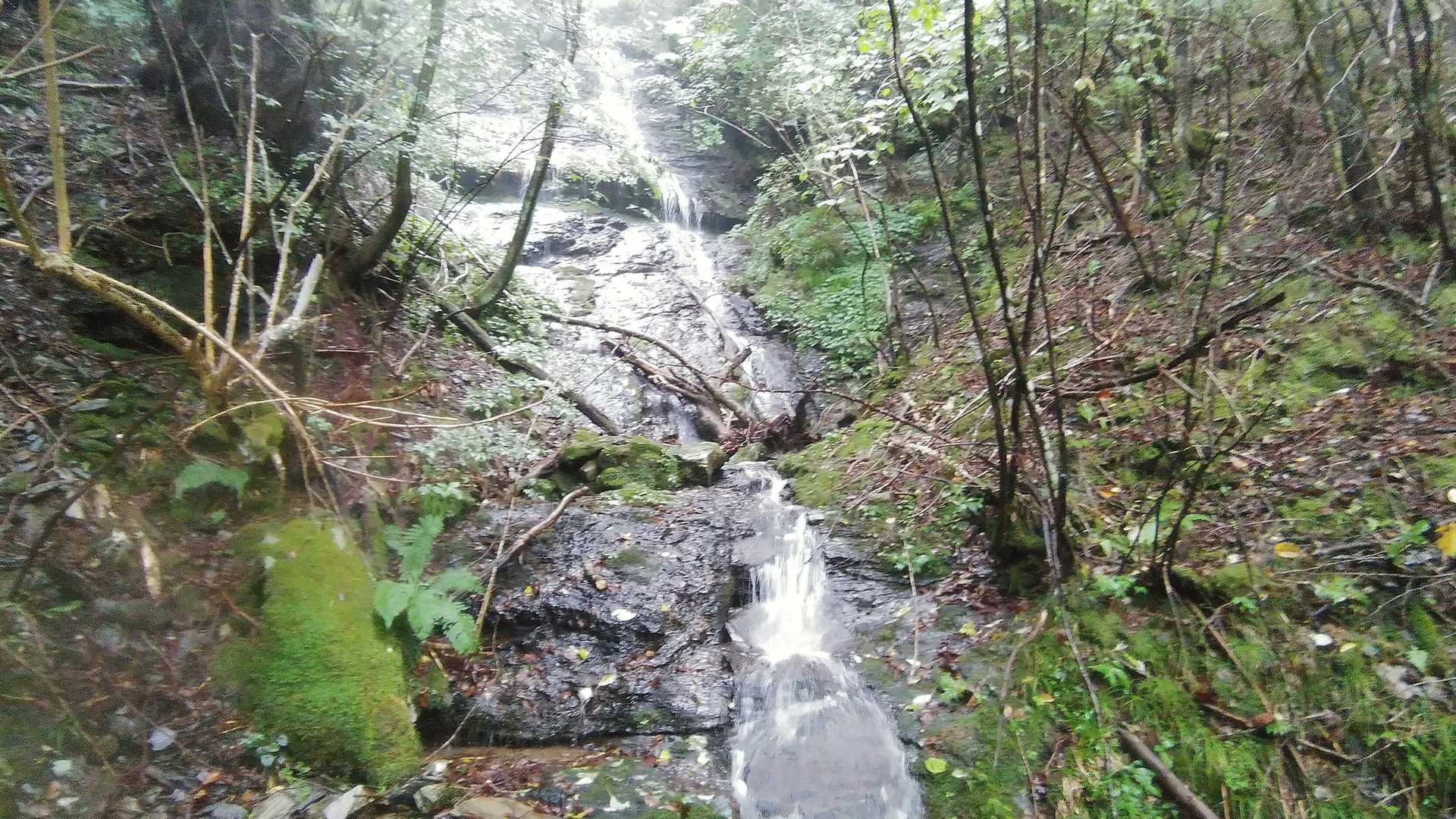 雨で流れる水にも勢いあります🙄