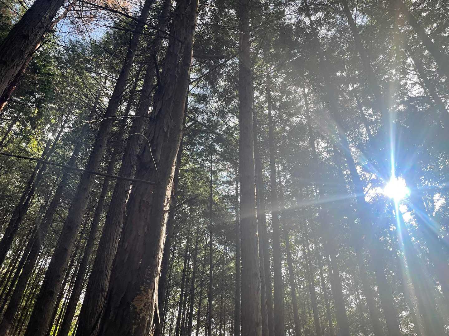 春日井市野外教育センター-道樹山-弥勒山 周回コースの写真