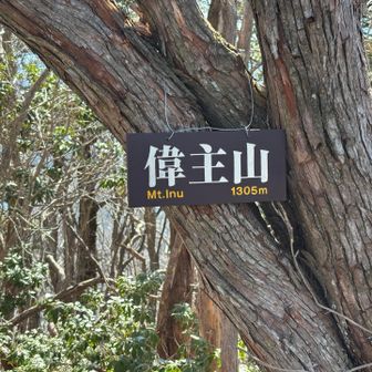 偉主山（いぬやま）　🐶ね。