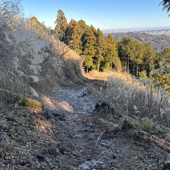 道が一部凍ってます。ここが一番凍ってた