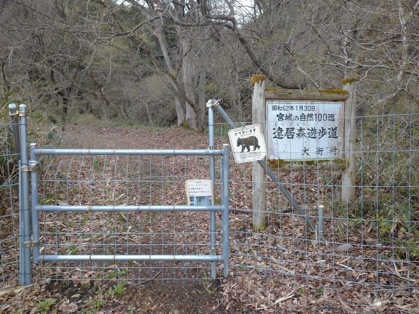 すぐ入山しようと思いましたが、208ピークを見つけたので奥側の柵から入ります。