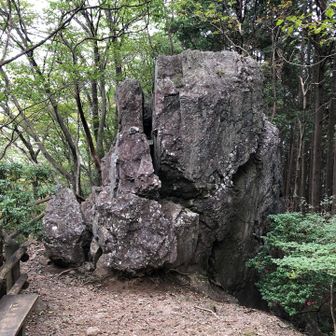 岩茸石