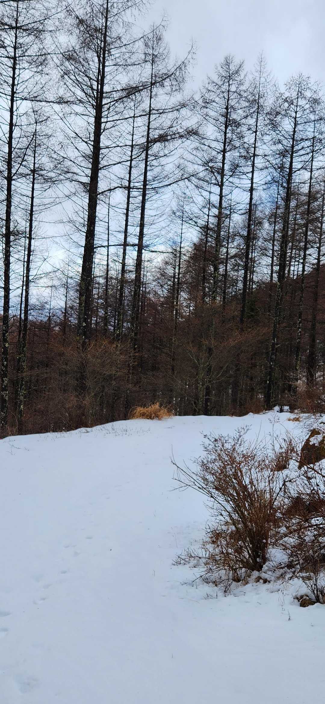 さぁ〜帰ろ🚶‍♀️