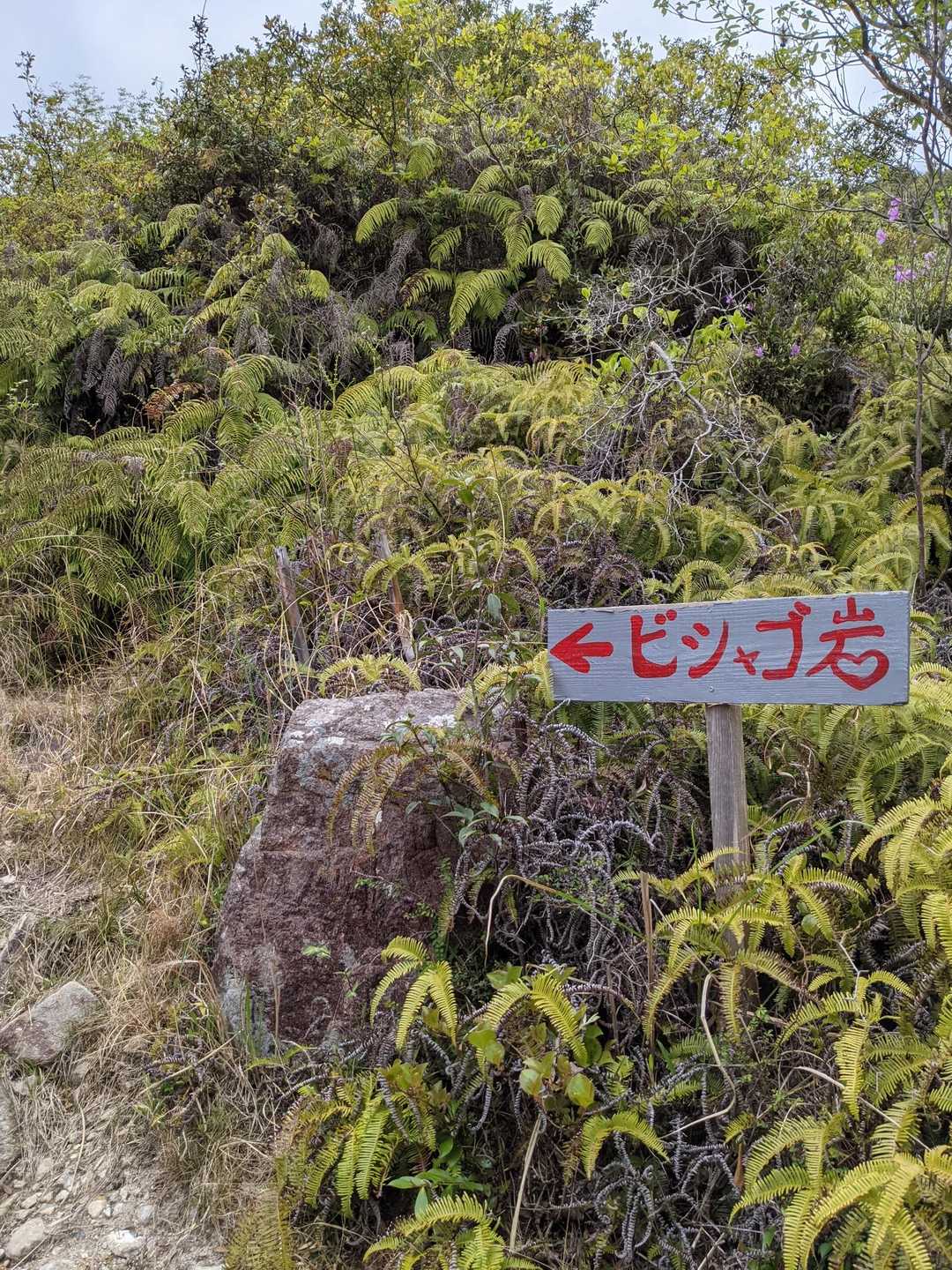またまた「ビシャゴ岩」の案内板です。えらい「ビシャゴ岩」を押してきます😊
