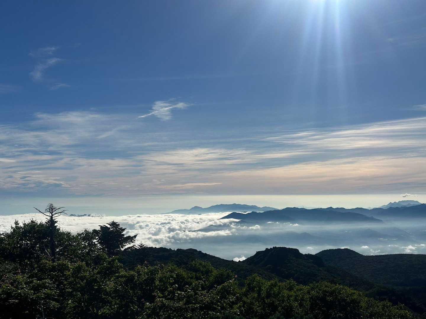 雲海がよく見える