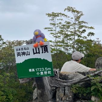 コバトンと旦那(つかれたすがた)
