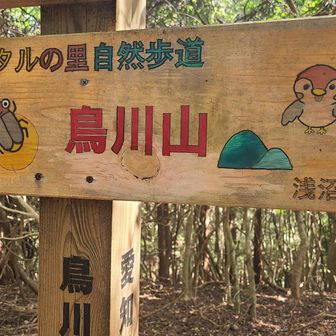 鳥川山
ココの地名を冠する山。
通りすがりで良いの？(笑)