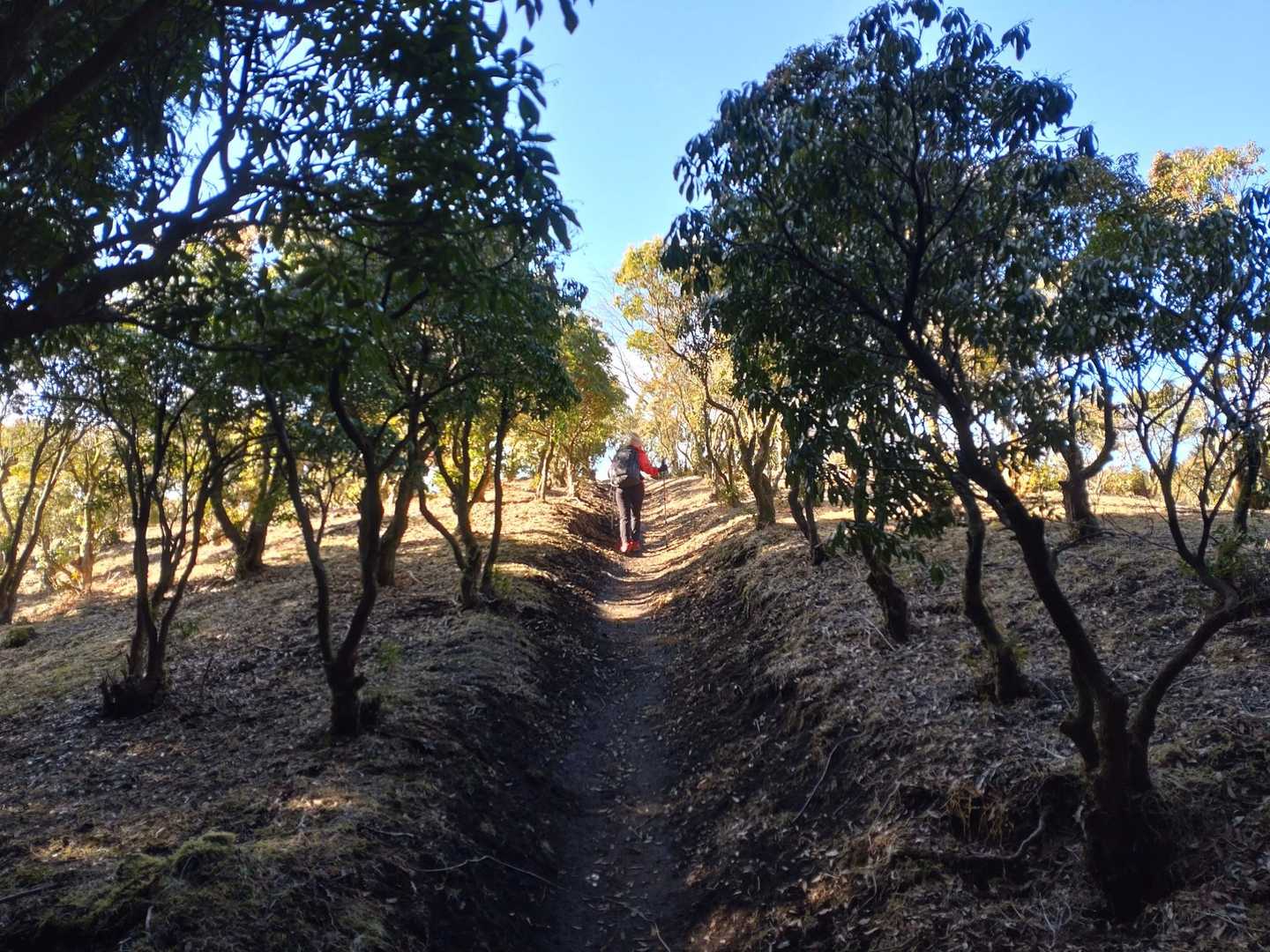 山頂迄あと僅か