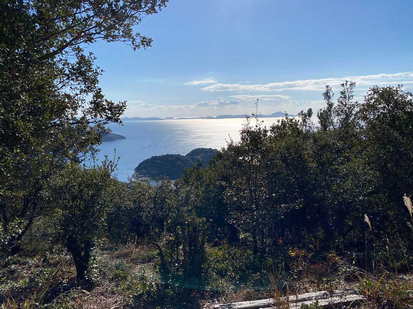 宝珠山-坪江山-みかんのへた山-小島〜坂越遊歩道登山口 周回コースの写真