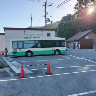 バス来てる。