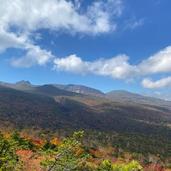 パノラマ展望地にて、あそこまで登ったのね👍