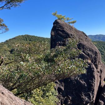 第２展望台の直ぐ横の『鬼立岩』
岩の上には、松が
