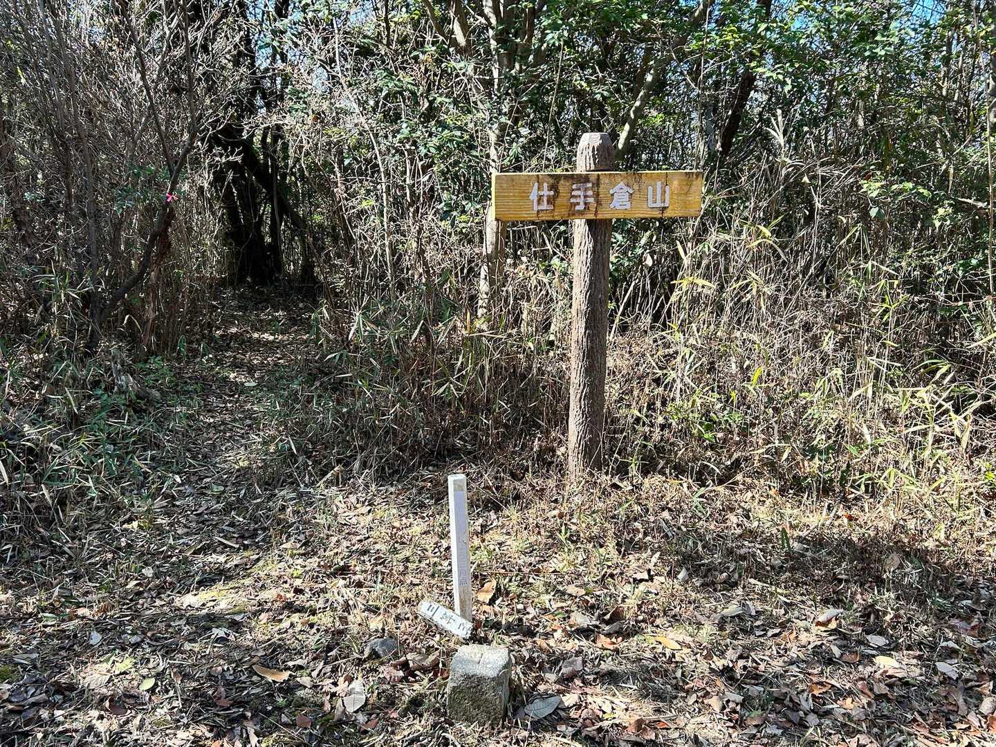 仕手倉山