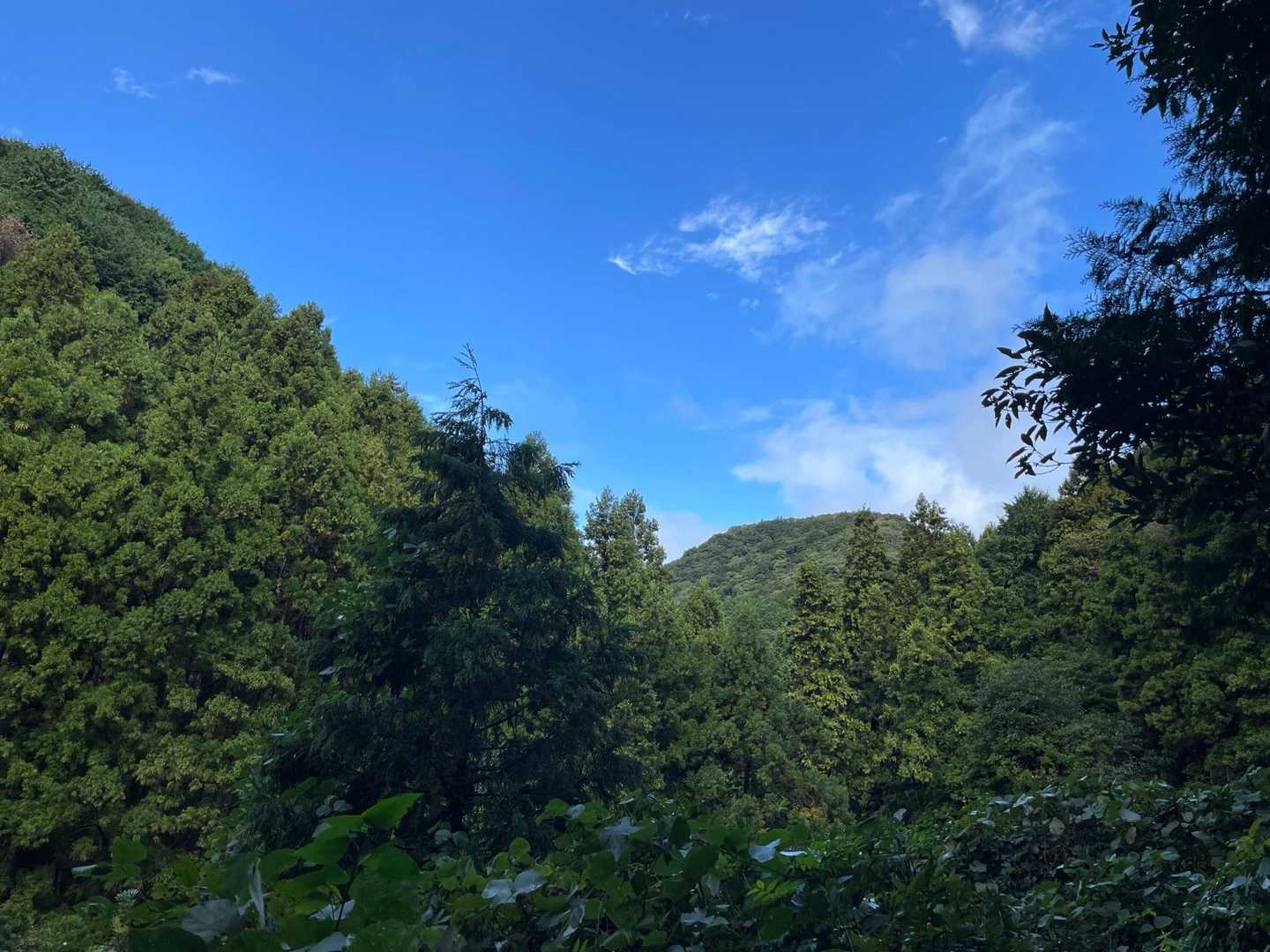 完全に見落としたらしい😮‍💨
でも青空が嬉しい