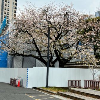 完成まであと2年かかる。なんでだろう。