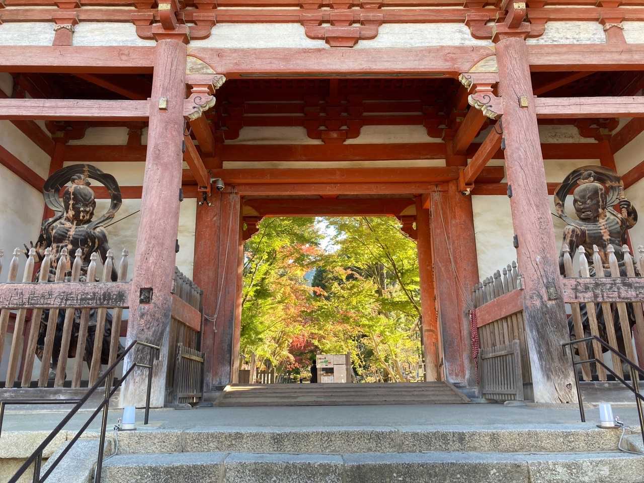 醍醐山-横嶺峠-高塚山 周回コースの写真