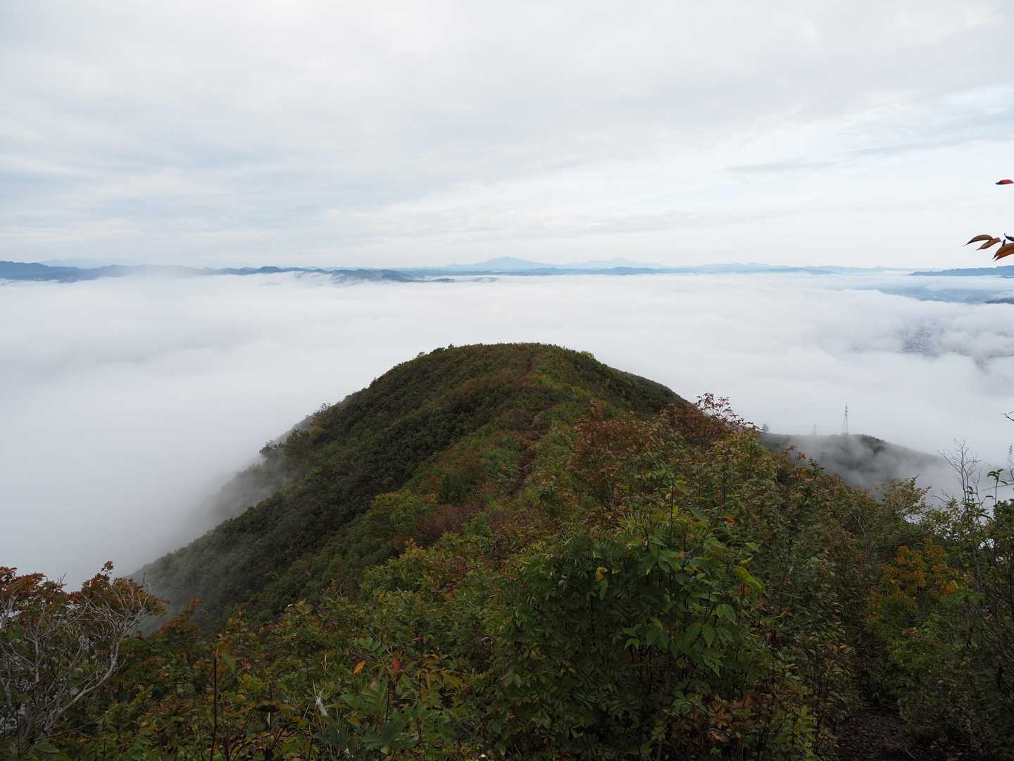 一本杉-鳴倉山 往復コースの写真