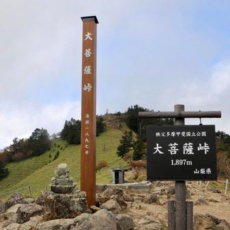 こう！
この標識新しくなりましたね
