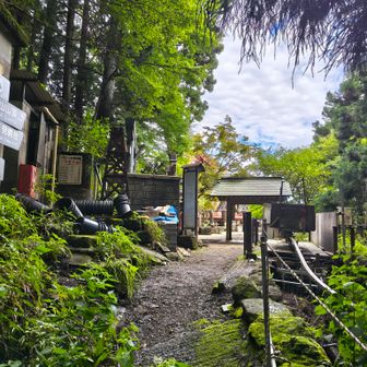 大山登山口の脇から下社に到着。
