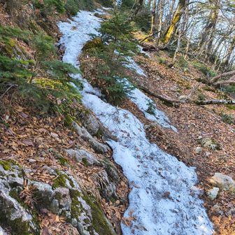 所々このような場所がありますが、チェンスパなくてもいけます