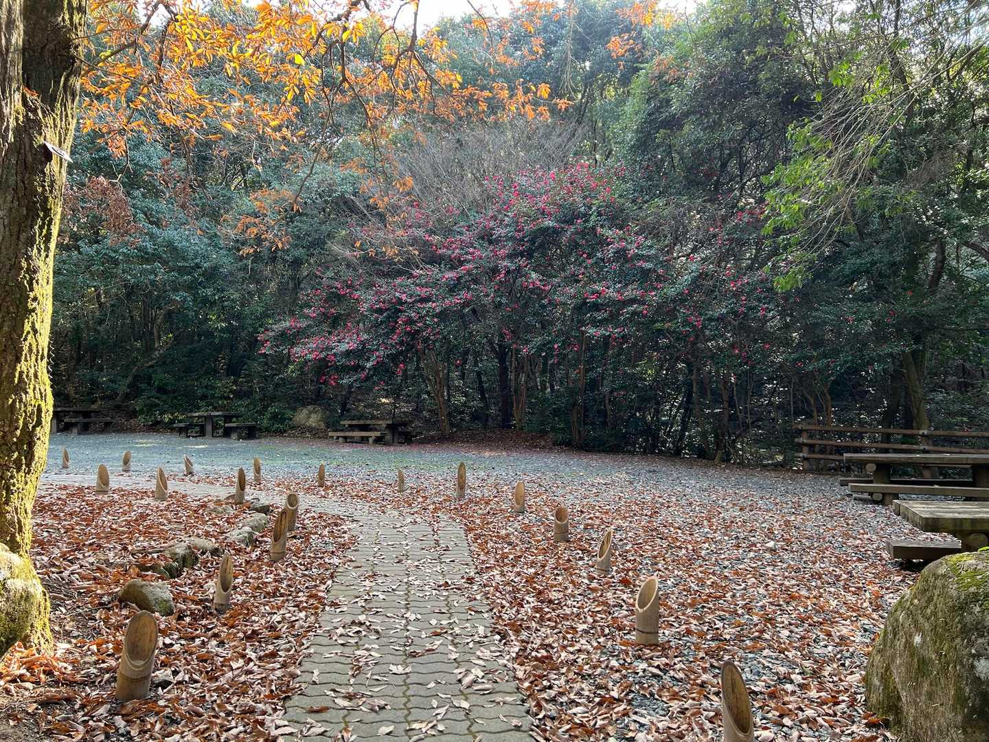 冬の景色もいい〜