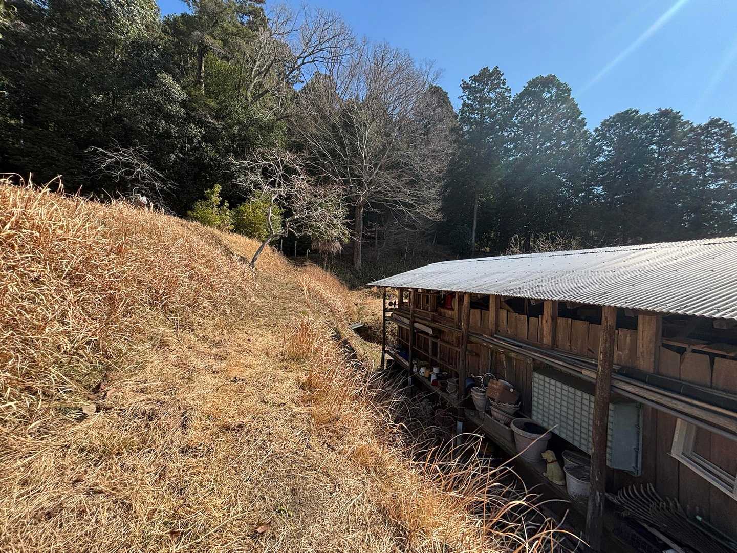 この小屋の向こうだよー
と

この辺りも人ん地みたいな場所なので
小心者は案内頂けてありがたき幸せ
今日、やっと登れます😭