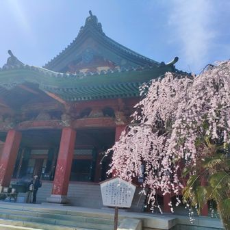 　　　【大光院】
徳川家康の遠祖、新田義重が祀られています。
