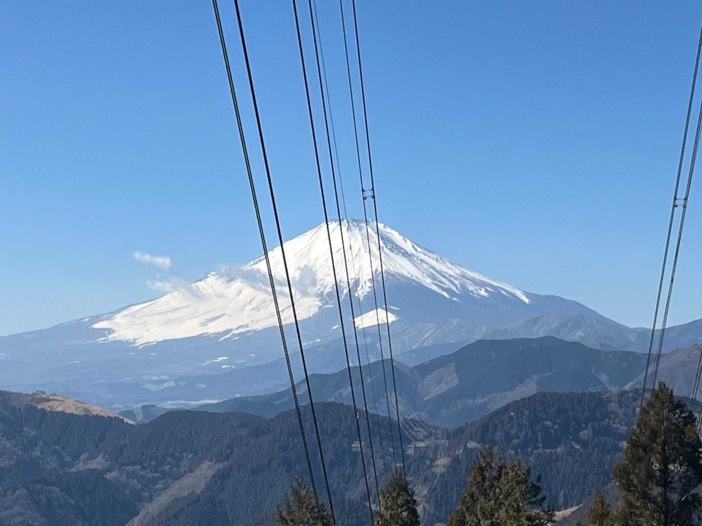 寄バス停-シダンゴ山登山口-シダンゴ山-ダルマ沢ノ頭-桜丸 周回コースの写真