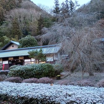 柚子胡椒げっと